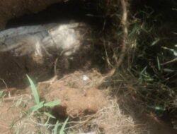 20 Tahun Dikubur, Jasad Ditemukan Utuh di Labuhan Batu