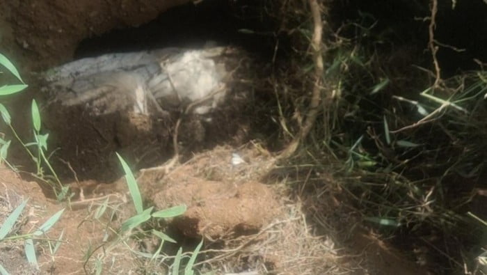 20 Tahun Dikubur, Jasad Ditemukan Utuh di Labuhan Batu