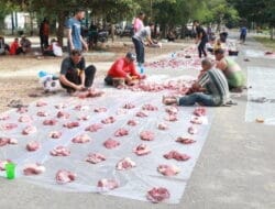 UNSAM Sembelih 17 Lembu dan Dua Kambing