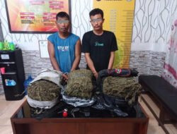 Bawa 10 Kg Narkotika, Dua Pemuda Aceh Tamiang Ketangkul Polisi.