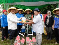 Jaga Ketahanan Pangan, Bupati Bungo Lakukan Tanaman Perdana Bibit Jagung