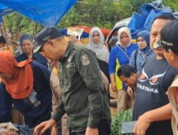 Pj Bupati Tebo,H.Aspan Pantau Harga Bahan Pokok di Pasar Minggu Pemayungan