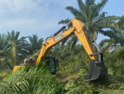 Terkait Dugaan Jual Beli Lahan Kebun Bulu Cina, PTPN 2 Lapor ke Kejatisu