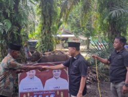Pj Bupati Tebo Serahkan 27 Sapi Qurban ke Masyarakat