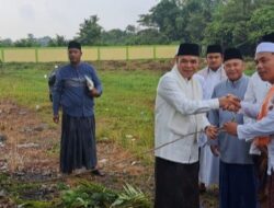 Usai Sholat Id Adha 1444 H, Pj Bupati Tebo Serahkan Sapi Qurban Seberat 140 Kg