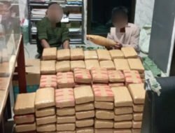 3 Orang Ditangkap, 135 Kg Ganja Diamankan Poldasu