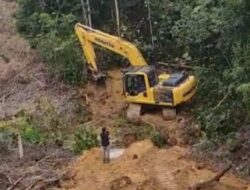 PT GAL Dituding Serobot Lahan Koperasi Bungo Pandan dan Kangkangi Aturan Menteri Kehutanan