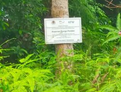 Terkait Pembukaan Jalan PT. GAL Dikawasan HTR Koperasi Bungo Pandan, Ini Kata KPHP Jambi
