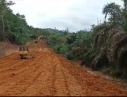Proses Penyidikan Oleh DISHUT Jambi Terhadap PT. GAL dan NAR Berjalan Lambat