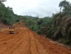 Kades Suo Suo dan Pengurus Koperasi Bungo Pandan Dipanggil Penyidik Polhut Jambi