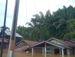 Puluhan Rumah Warga di Aceh Singkil Terendam Banjir 