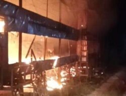 Ribuan Ayam Broiler di Desa Geudubang Aceh Terpanggang Dalam Kandang
