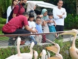 Wisata Satwa di The Hill Hotel and Resort, Presiden Jokowi Bersama Keluarga Liburan di Deliserdang