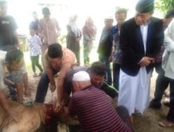 Pemko Tanjungbalai Sembelih 8 Ekor Hewan Qurban