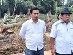 Kapolres Taput Bantah “Petieskan” LP Pengrusakan Kayu Pinus Dilahan Bersertifikat, Dalam Waktu Dekat Ditetapkan Tersangkanya