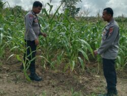 Sat Binmas Polres Batu Bara Laksanakan Pengecekan Pemanfaatan Lahan PT Socfindo