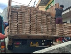 Penanganan Kasus Telur Ilegal Terkesan Tidak Transparan, Publik Soroti Lambannya Proses Hukum