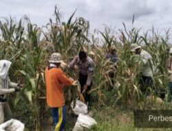 Polsek Indrapura Lakukan ilInisiatif Dukung Program Ketahanan Pangan Nasional