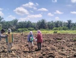 Polsek Indrapura Laksanakan Koordinasi Lahan Ketapang di Desa Perkebunan Tanjung Kasau
