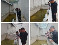 Dukung Program Ketahanan Pangan,Rutan Tabur 2.000 Benih Ikan Nila