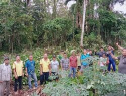 Pemdes Sitolu Banua Bersama BPD dan TPK Memulai Kegiatan Pematokan Lahan Ketahanan Pangan