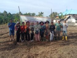 Penanaman Jagung Perdana Ketapang Desa SitoluBanua