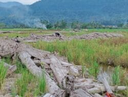 Korban Banjir Bandang Kecewa.  Bupati JTP Prioritaskan Rehab Rumdis Dari Pada Perbaiki Sawah Masyarakat