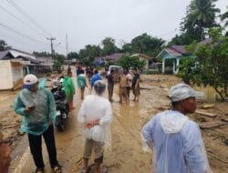 Ratusan Warga Tapsel Mengungsi. Sungai Batang Toru meluap 