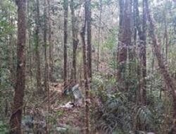 Data Lengkap Jenis dan Luas Hutan di Kabupaten Dairi