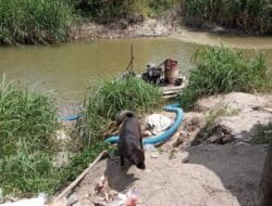 Pemerintah Cabut Ijin Perusahaan Perusak Lingkungan, Namun Pemkab Taput dan APH Bebaskan Tambang illegal Beroperasi.