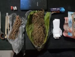 Satresnarkoba Polres Batu Bara Ungkap Kasus Ganja Kering, Satu Tersangka Diamankan