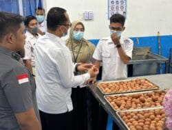 Pantau MBG Tetap Berjalan Selama Ramadhan, Wakil Wali Kota Fadly Abdina Monitoring Pelayananan SPPG