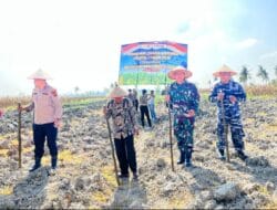 Pemko Bersama Forkopimda Tanjungbalai Gelar Tanam Jagung Serentak Kuartal I Tahun 2026