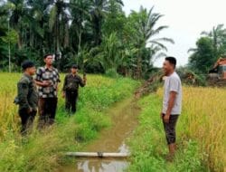 DPP Forwakum Tipikor dan Dinas Pertanian Soroti Pekerjan Cetak Sawah Yang Diduga Ilegal di Desa Tanah Timbul Ancam Ekosistem dan Tata Ruang