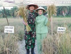 Kodim 0208/Asahan Panen Padi Gogo Bersama Forkopimda, Dukung Asta Cita Ketahanan Pangan