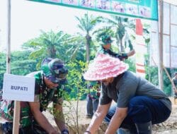 Kodim 0117/Atam Giat Program Tanam Jagung, Bupati Hadir dan Dukung Hanpangnas