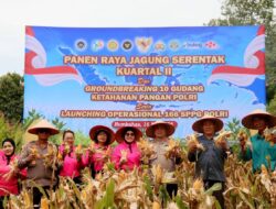 Pemkab Humbang Hasundutan Hadiri Panen Jagung Serentak Kuartal II 2026, Dukung Swasembada Pangan Nasional