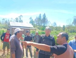 Pemkab Taput Dukung Perkembangan Infrastruktur Listrik Untuk Mendorong Kemajuan Pertanian