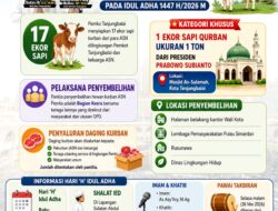 ASN Pemko Tanjungbalai Sembelih 17 Hewan Kurban Idul Adha 1447 H/2026 M