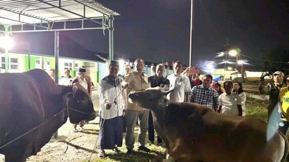 Bupati Tapanuli Utara Menyerahkan Satu Ekor Sapi Kurban di Masjid Yaqwa Siborongborong Yaput Pererat Persaudaraan