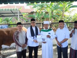 Plh Wali Kota Tanjungbalai Serahkan Bantuan Sapi Qurban Kemasyarakatan Presiden Prabowo Subianto