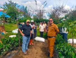 Pemerintah Kabupaten Tapanuli Utara Menyambut Kunjungan Kerja Direktur Tanaman Dari Direktorat Jenderal Perkebunan Kementerian Pertanian