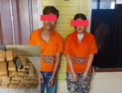Dua Kurir Ganja Ditangkap Setelah Alami Kecelakaan di Taput. 112 Paket Disita