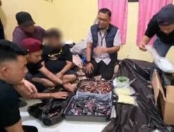 Bandar Narkoba Diciduk Polrestabes Medan