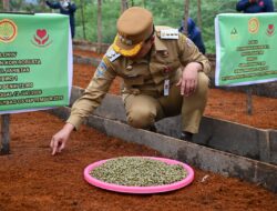 Pemkab Humbahas Canangkan Komoditi Kopi Merupakan Andalan dan Sumber Pendapatan Petani Humbang Hasundutan