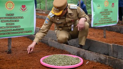 Pemkab Humbahas Canangkan Komoditi Kopi Merupakan Andalan dan Sumber Pendapatan Petani Humbang Hasundutan