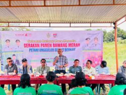 Bupati Humbahas Panen Bawang Merah Apresiasi Dukungan Pemprov Sumut Bagi Petani