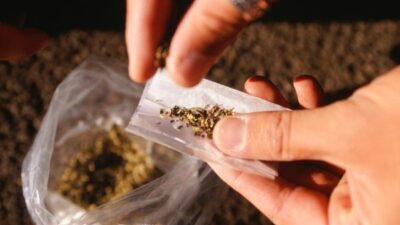 Bawa 3,4 Kg Ganja dari Sumatera Utara Menuju Jakarta. Anak Dibawah Umur Ditangkap Polisi